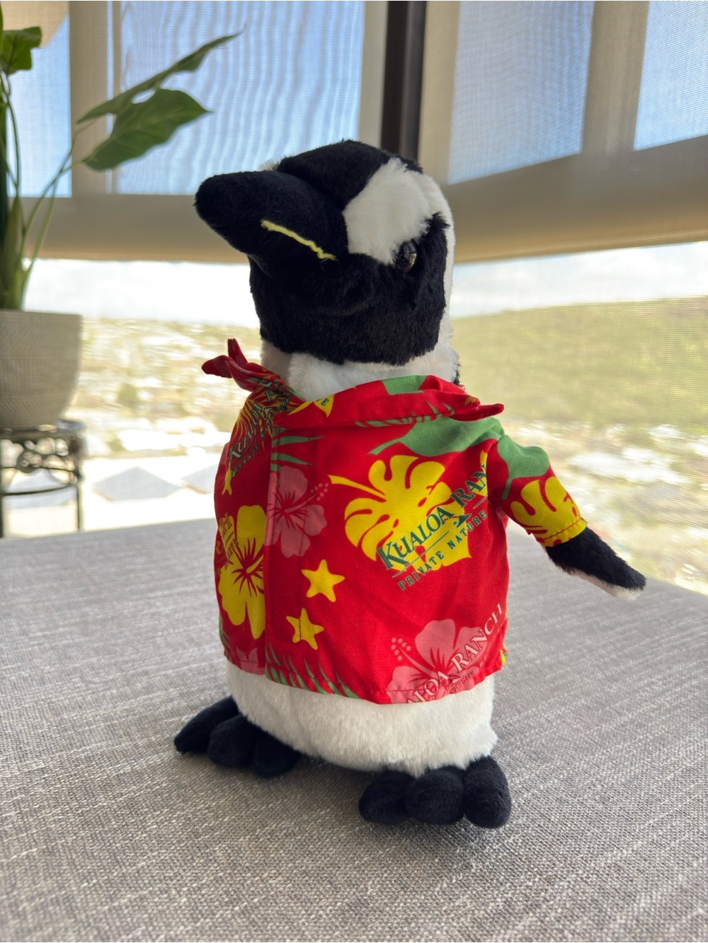 Plush Penguin “Willie” from the Movie 50 First Dates